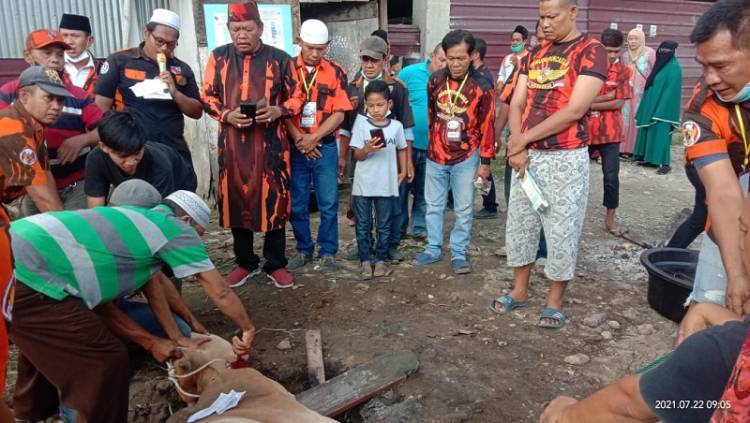 Idul Adha 1442 H, PAC PP Medan Area Kurban 3 Ekor Lembu dan 5 Ekor Kambing