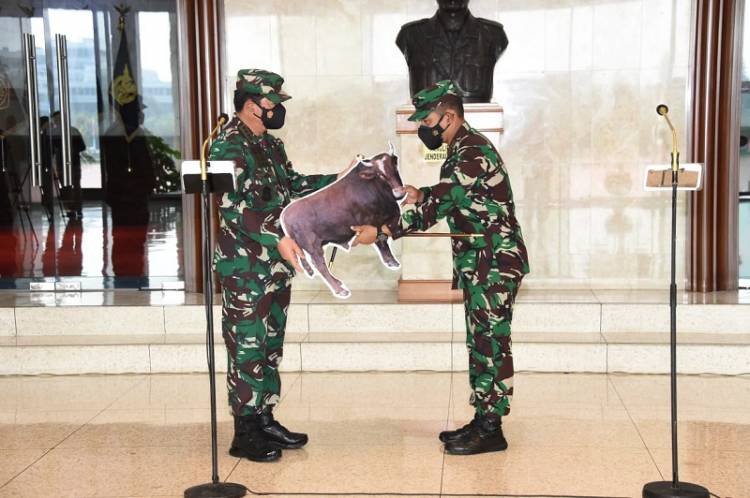 Panglima TNI Serahkan Hewan Qurban Secara Simbolis