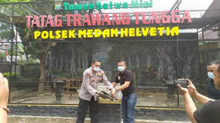 HUT ke-75 Bhayangkara, Ketua Pewarta Serahkan Penyu Seberat 20 Kilo ke Polsek Medan Helvetia