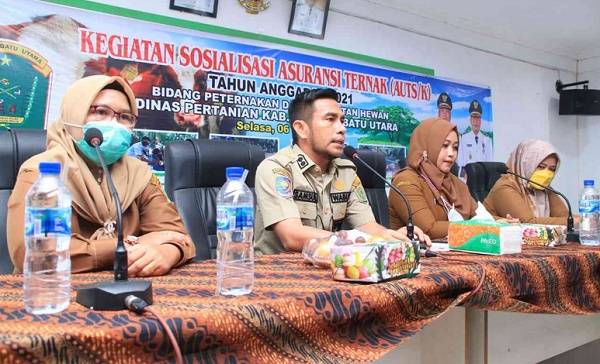 Jaga Harga Tetap Stabil, Wabup Labura Berharap Dinas Pertanian Buat Program Pasar Hewan