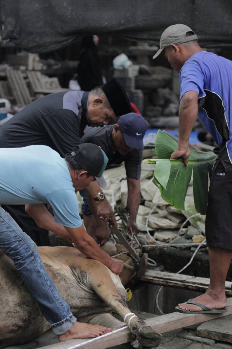  Rahudman Harahap: Berqurban Itu Bentuk Kebersamaan Menjaga Silaturahmi