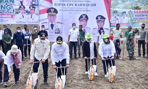  Tanam Jagung dan Serahkan Bantuan, Edy Rahmayadi Optimis Pakpak Bharat Bisa Jadi Produsen Jagung Utama Sumut