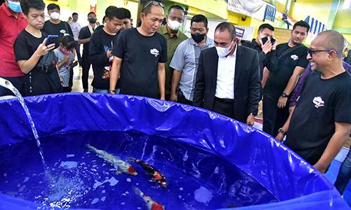 Dorong Budidaya dan Bisnis Ikan Koi, Edy Rahmayadi Buka dan Ikut Ramaikan Koi Show Sumut 2022