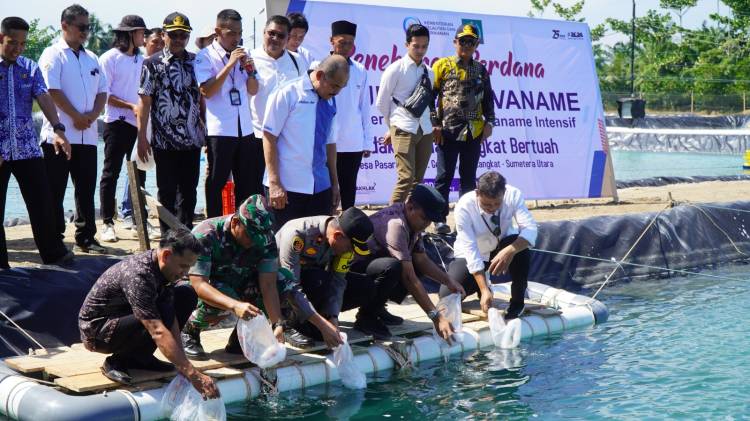 Pj Bupati Langkat Resmikan Klaster Budidaya Udang Vaname Intensif 