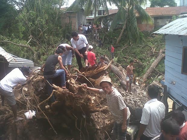 Pohon Beringin Berumur Seratus Tahun Lebih di Medan Maimun Tumbang