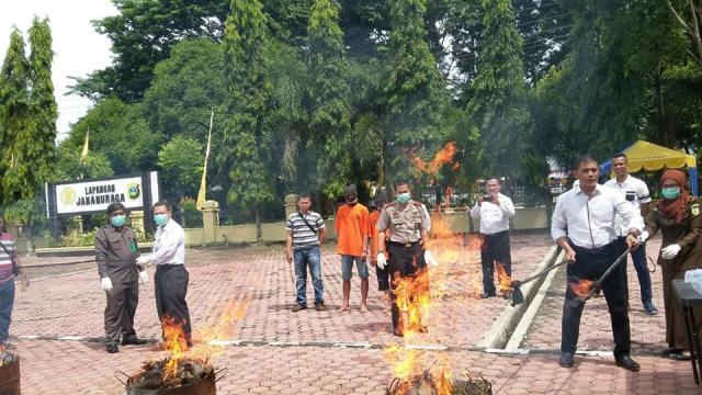 Polres Langkat Musnahkan Ganja Seberat 20 Kg