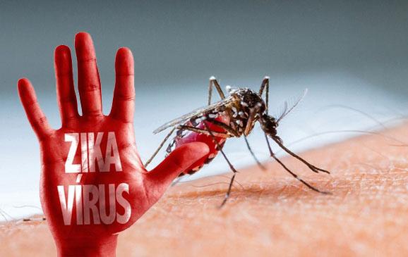 Virus Zika, Seberapa Berbahaya?