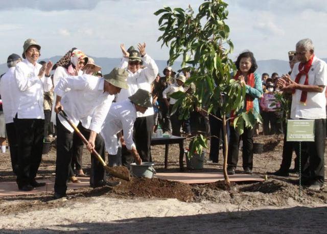 Jokowi Tanam Pohon Durian di Danau Toba