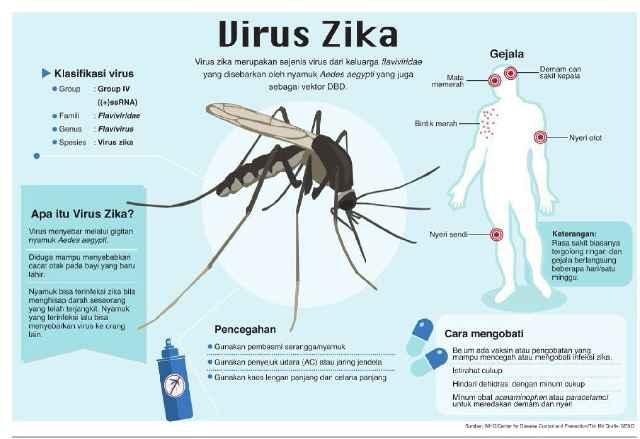Waspadai Penyebaran Virus Zika di Sumut
