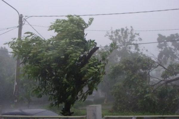 BPBD Binjai Imbau Masyarakat Waspada Banjir dan Angin Kencang 