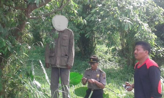 Mau Cari Ular, Warga Binjai Malah Temukan Mayat Tergantung di Pohon