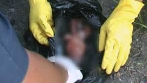 Warga Kampung Aur Dihebohkan dengan Temuan Mayat Bayi di Sungai Deli