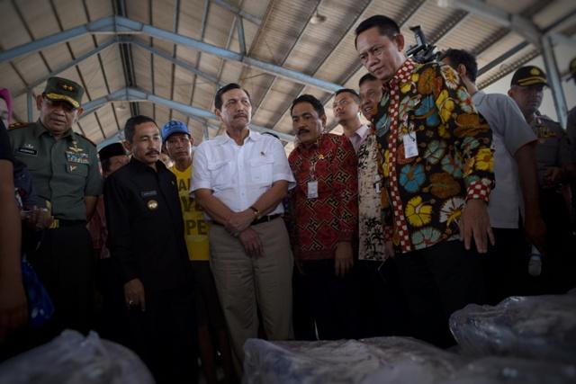 Pemerintah Tata Strategi Pengambilan Ikan yang Dapat Bangun Industri