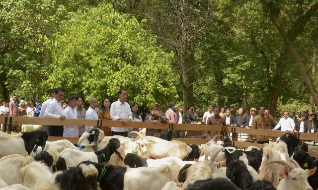 Presiden Jokowi Siapkan Hadiah dan Uang Pembinaan Rp1 Miliar