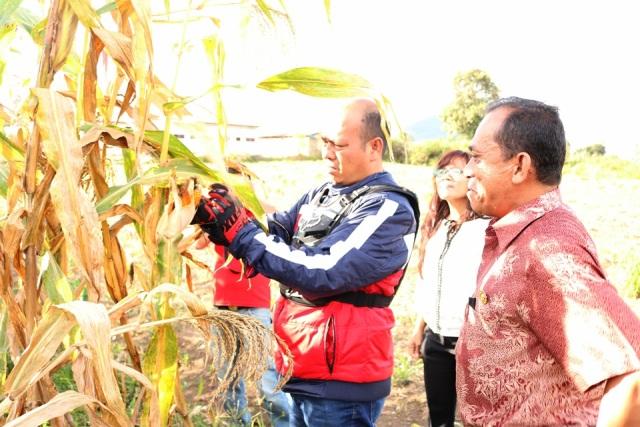 Bupati Taput:Jadikan BPP Acuan dan Contoh Bagi Petani