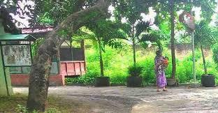 November, Nominasi Tiga Besar Akan Diumumkan