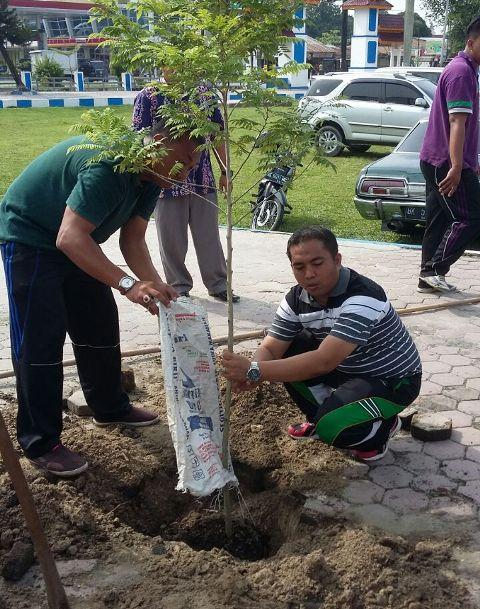 Dishut dan BLH Sumbangkan Bibit Pohon ke Kecamatan Lubuk Pakam