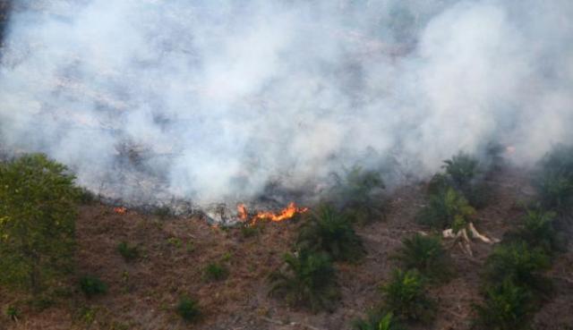 Hingga Senin, Terdapat 158 Hotspot Kebakaran Hutan dan Lahan di Indonesia