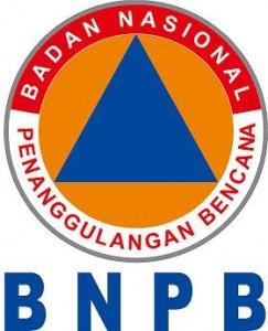 Kapasitas dan Kesiapsiagaan Nasional Kunci Menuju Pembangunan Aman Bencana