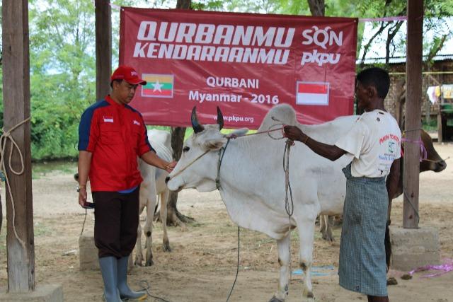 Dorong Pemerataan Penyaluran Daging Qurban, Kitabisa.com Gagas Qurban.Kitabisa.com