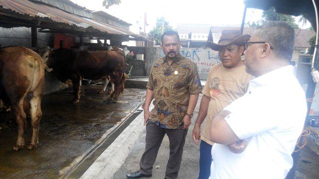 Jelang Idul Adha, Anggota Komisi B DPRD Binjai Sidak ke Peternakan Hewan Kurban
