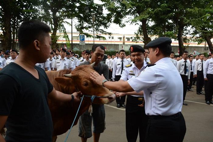 Idul Adha 1439 Hijriah, Bakamla RI Salurkan Daging Kurban