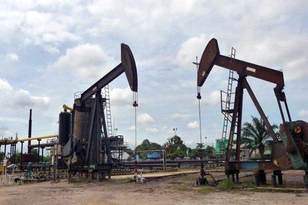 Serahkan Blok Rokan ke Pertamina, Pemerintah Terima Dana Segar PNBP Rp11,3 Triliun