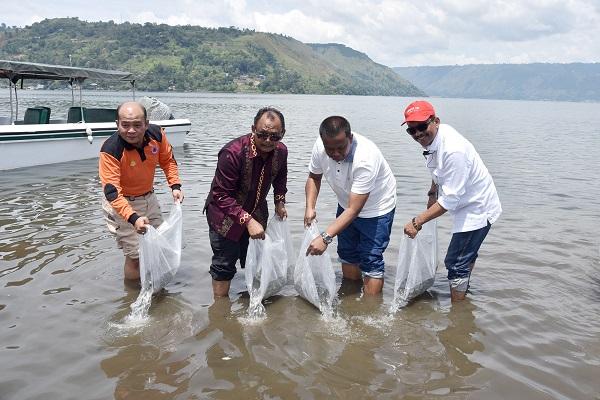 32 Ribu Benih Ikan Ditebar di Danau Toba
