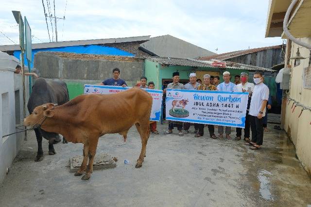 Rayakan Idul Adha 1441 H, Pelindo 1 Salurkan 60 Hewan Kurban untuk Wilayah Operasional