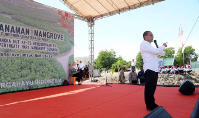 Gubernur Edy Rahmayadi Tanam Mangrove di Langkat, Cegah Abrasi Pantai di Sumut