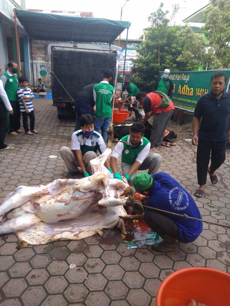 Pengurus PD Al - Washliyah Kota Medan Kurban 4 Ekor Sapi