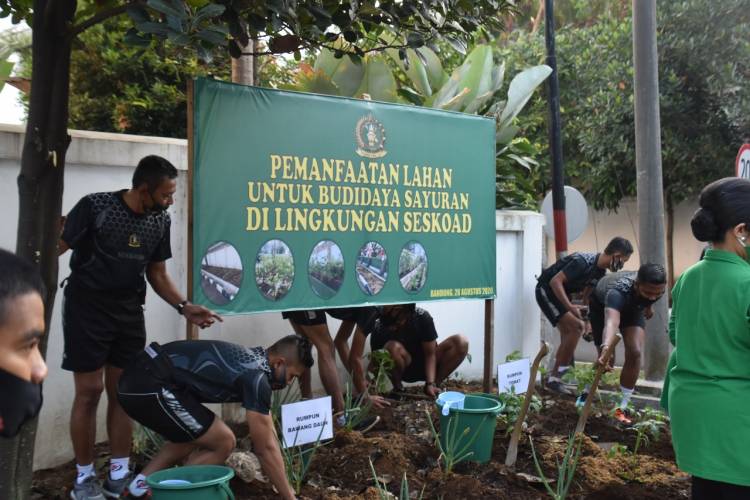 Seskoad Manfaatkan Lahan untuk Budidaya Sayuran