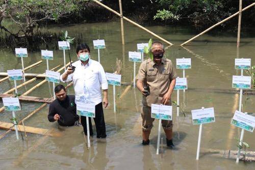 Ekowisata Hutan Mangrove Sicanang, Pemko Medan Dukung Upaya Pelestarian dan Pengembangan di Belawan