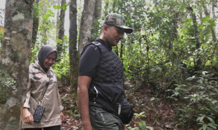 Musa Rajekshah Jungle Trekking ke Aek Nauli, Ajak Wisatawan Nikmati Wisata Ilmiah Danau Toba