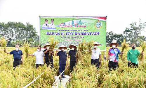 Kembangkan Benih Padi, Gubernur Sumut Berharap Bisa Penuhi Kebutuhan