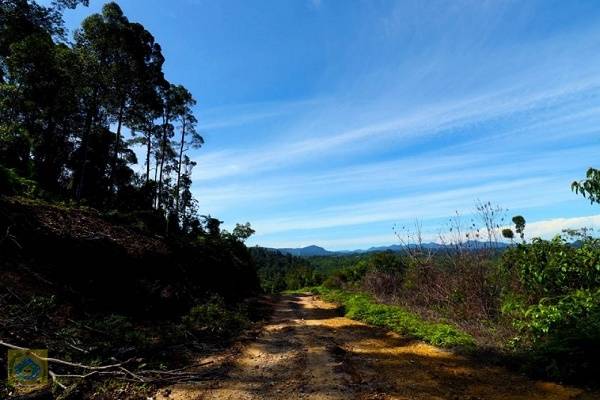 Bupati Pakpak Bharat Dukung Penuh Pengembangan Kawasan Wisata di Pulau Banyak