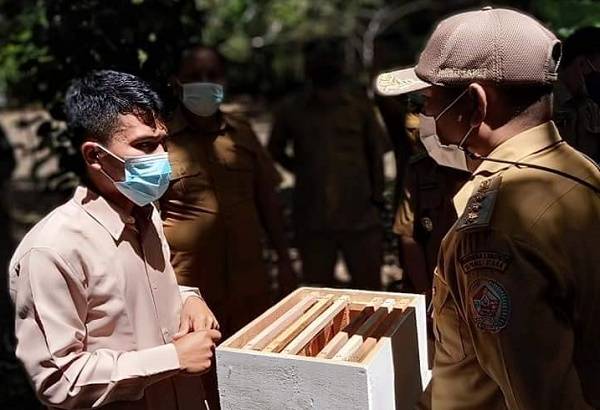 Tinjau Ternak Lebah, Bupati : Lebah Akan Jadi Kebanggaan dan Kekayaan Tapanuli Utara