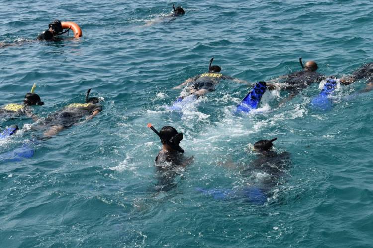 SRT Bakamla RI Latihan Menyelam di Laut