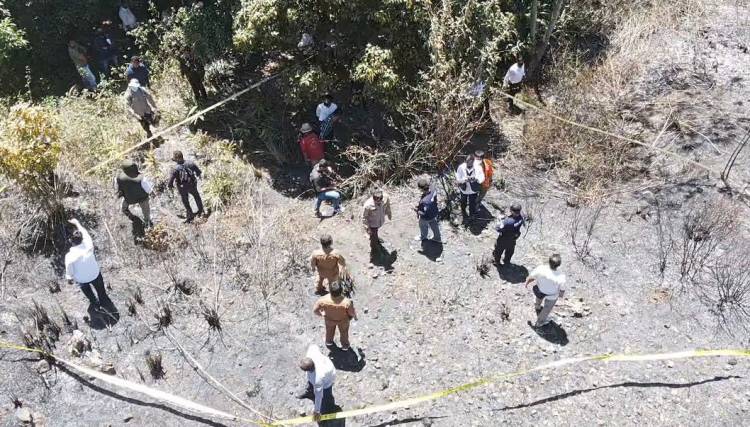 Dua Orang Terduga Pembakar Hutan di Samosir Ditangkap