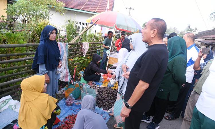 Tinjau Pasar Pakantan, Gubernur Sumut Terkejut dengan Harga Ayam Potong