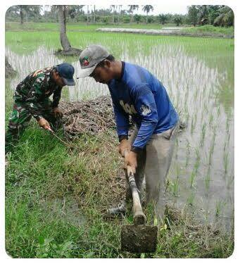 Babinsa dan Petugas PPL Bersihkan Saluran Air Sawah di Panombean Pane