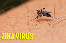 Dinkes Sumut Minta Semua Daerah Deteksi Dini Virus Zika