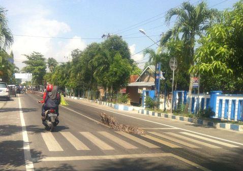 Truk Minyak CPO Tumpah, Pengendara Alami Kecelakaan