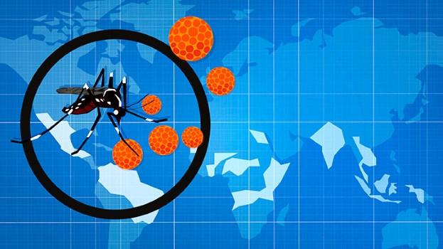 Perpindahan Penduduk dan Gigitan Nyamuk Faktor Penyebar Virus Zika