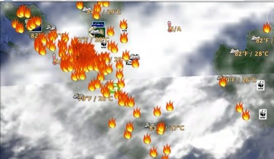 Sekitar 87 Hotspot Merebak di Kaltara, Siaga Darurat Belum Ditetapkan