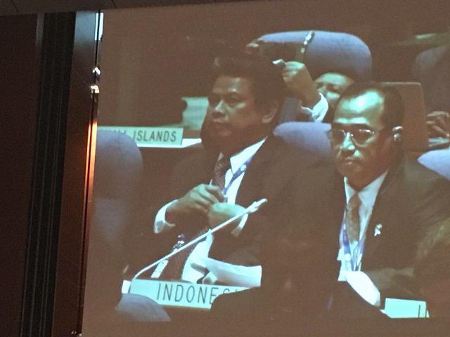 Dipimpin Menhub, Indonesia Terus Berjuang Jadi Anggota Dewan ICAO
