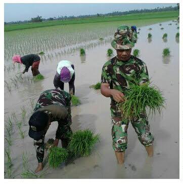 Koramil 14/Bandar Pasir Mandoge Dampingi Petani Lakukan Pembersihan Rumput 