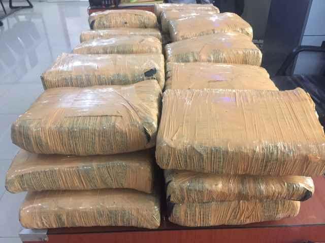 Menyaru Sebagai Pembeli, Poldasu Amankan 35 Kg Ganja Kering Asal Aceh