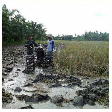 Babinsa Bantu Petani Olah Lahan di Desa Kuala Tanjung