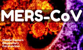 Dinkes Sumut Imbau Jemaah Haji Waspada Virus MERS-CoV